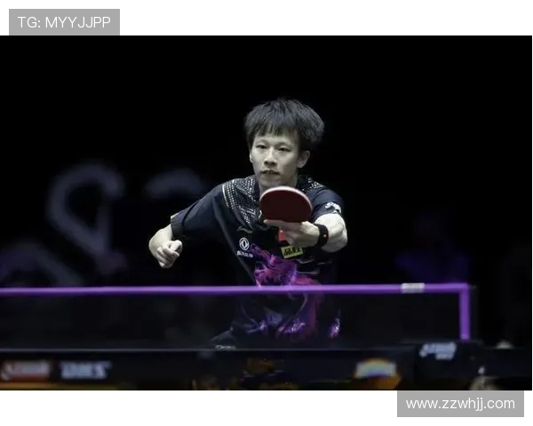 乒乓球场上的奋斗与梦想刘磊深度对话揭示人生哲学