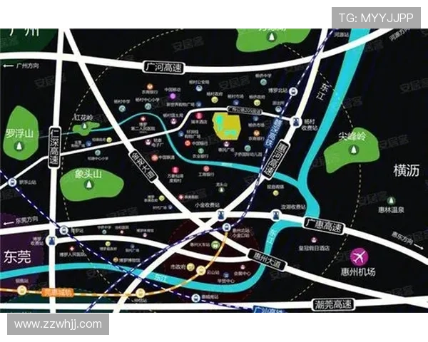 独家解析西安排球队实力对比与战术布局的深度分析