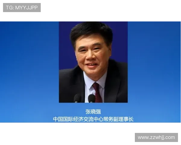 专访杨伟:深入探讨排球运动成功背后的秘密与经验分享